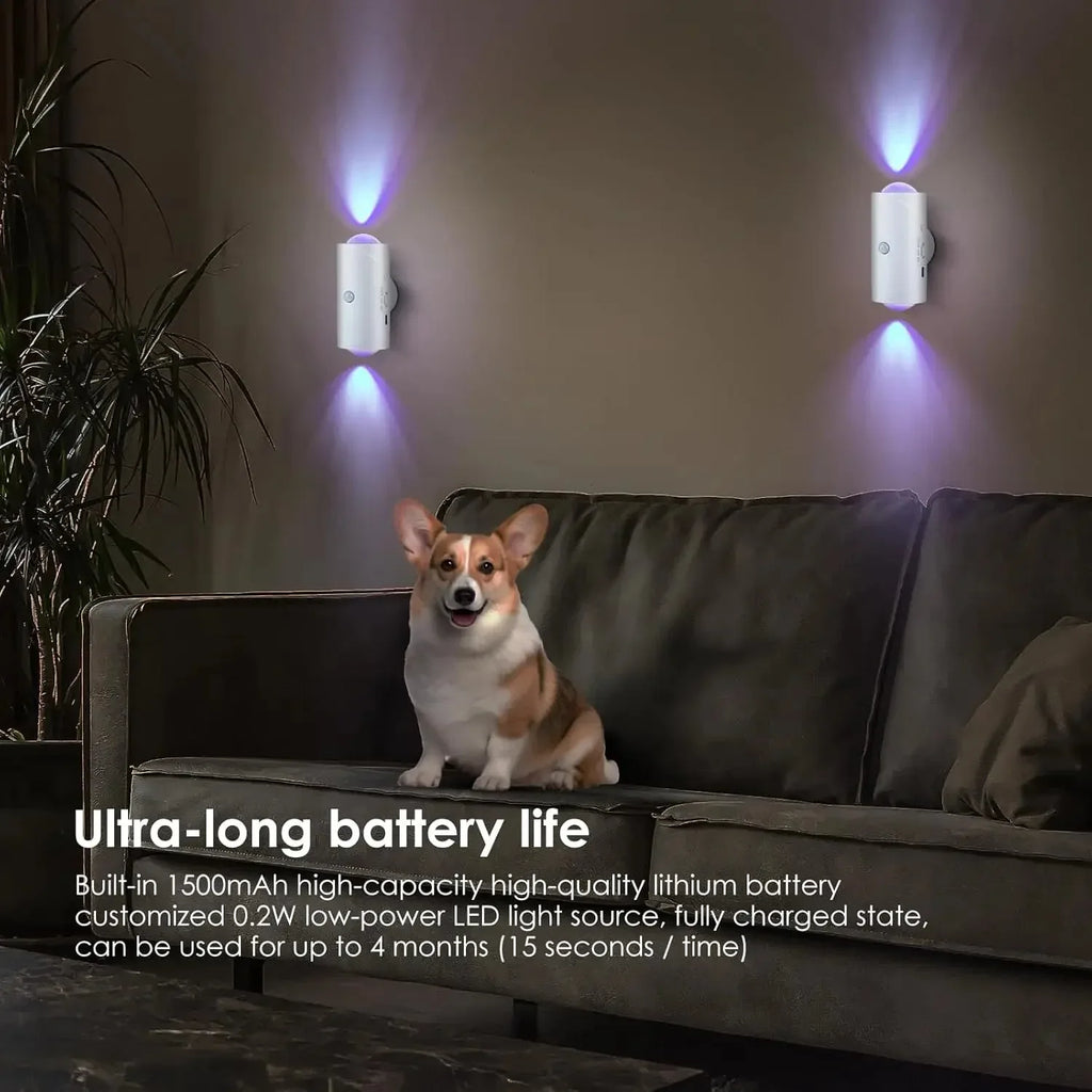 USB Rechargeable Motion Sensor Night Light Mexllex™ - RS Store