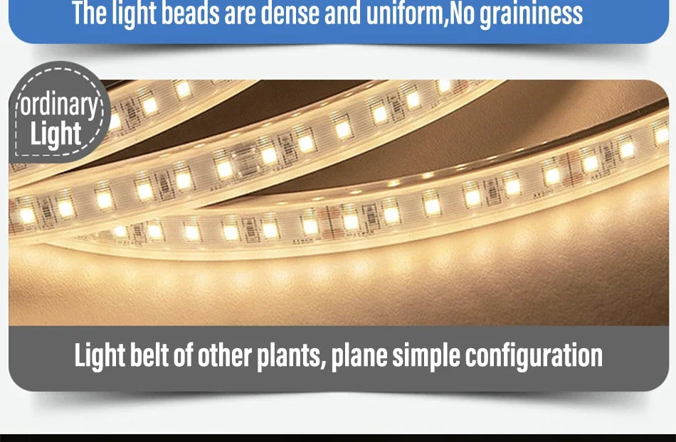 1M-50M 220V COB LED Strip Yingld™