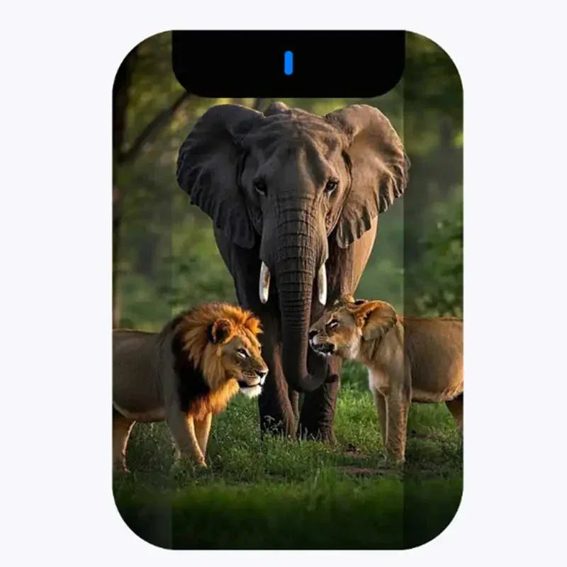 Portable HDD External Hard Drive Disk 320GB 500GB 1TB USB3.0™ - RS Store